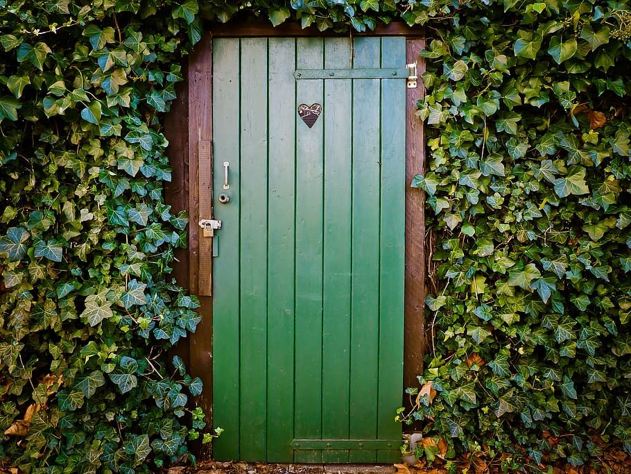 Green Door and Green-leafed Plants, architecture, entrance, exit HD wallpaper
