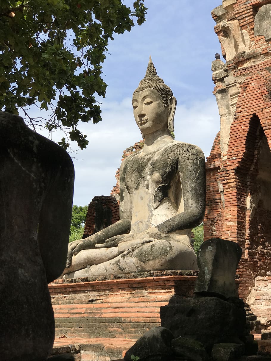 thailand, phra nakhon si ayutthaya, sacred, nature, burmese