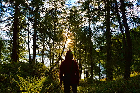 Bushcraft at Norwegian forest museum | Guided Tours | Elverum | Norway