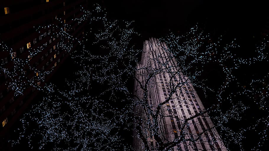 united states, new york, rockefeller center, tree, lights, city, HD wallpaper