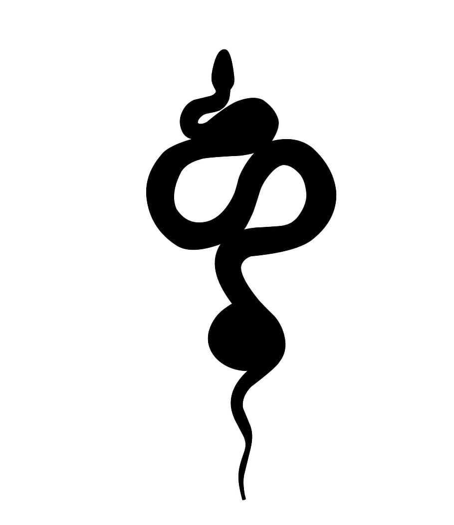 Illustrated silhouette of a snake on white background., tattoo, HD wallpaper