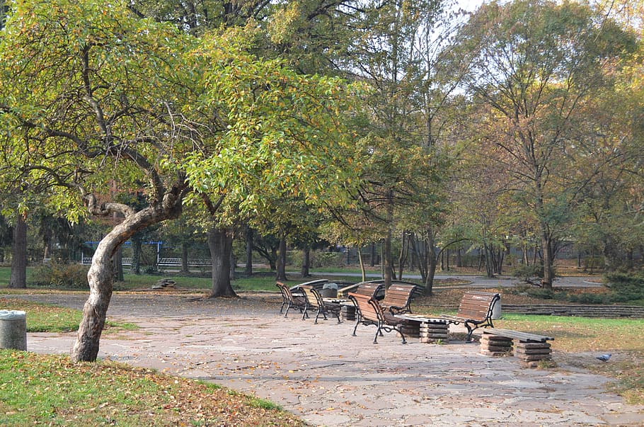 park lane, sofia, garden, benches, tree, seat, plant, nature HD wallpaper