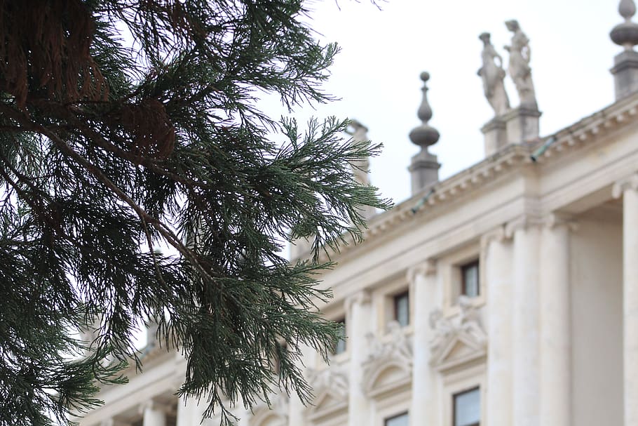 buildings, art, town, tree, pine tree, city, theatre, theater HD wallpaper
