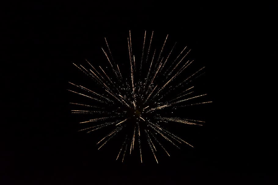 firework, sky, light, celebration, looking up, night, evening HD wallpaper