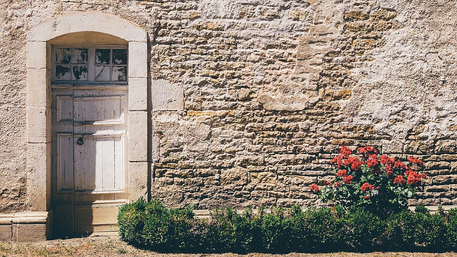door, wall, old, brick, rose, architecture, vintage, antique HD wallpaper