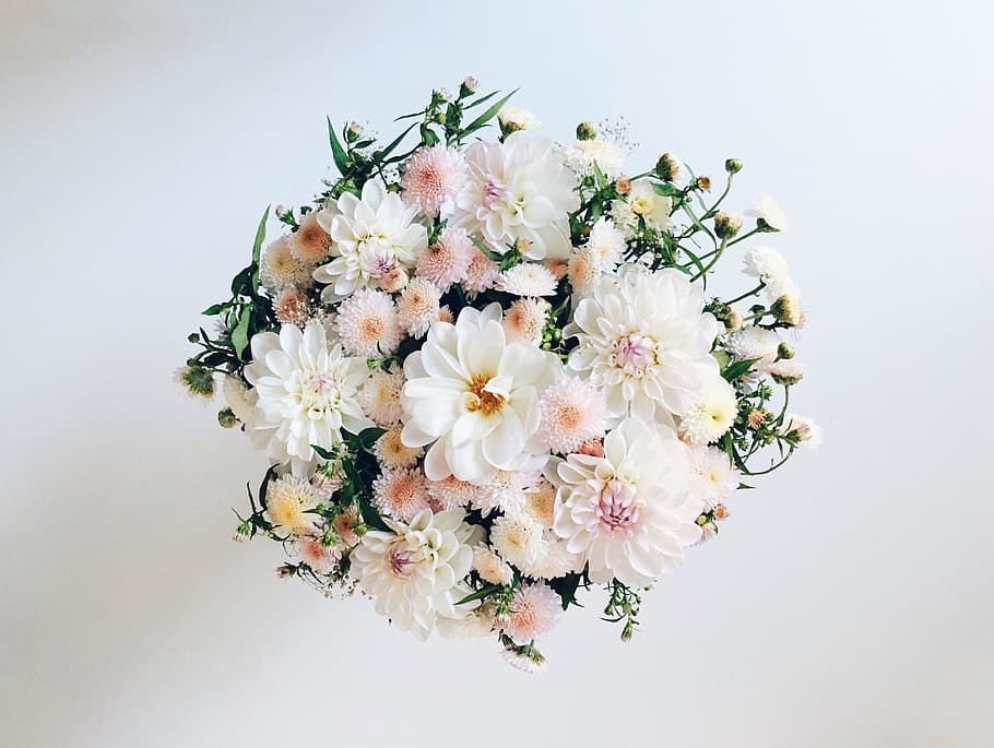 white and pink dahlia flowers in bloom bouquet, instagram, floral, HD wallpaper