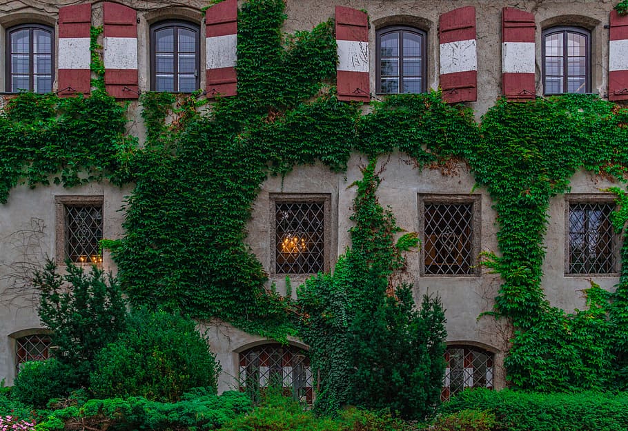 house, wall, building, architecture, window, stone, facade HD wallpaper