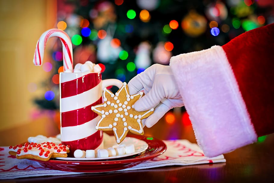 Person Holding Cookie Flower, blur, bright, candy, celebration HD wallpaper