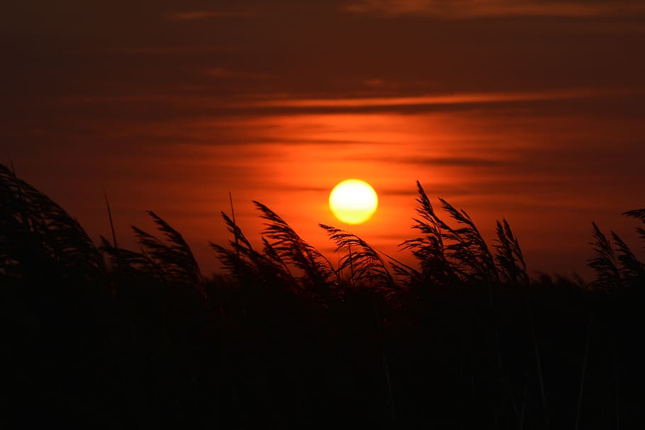 sunset, romantic, dusk, mood, sky, evening, nature, landscape HD wallpaper