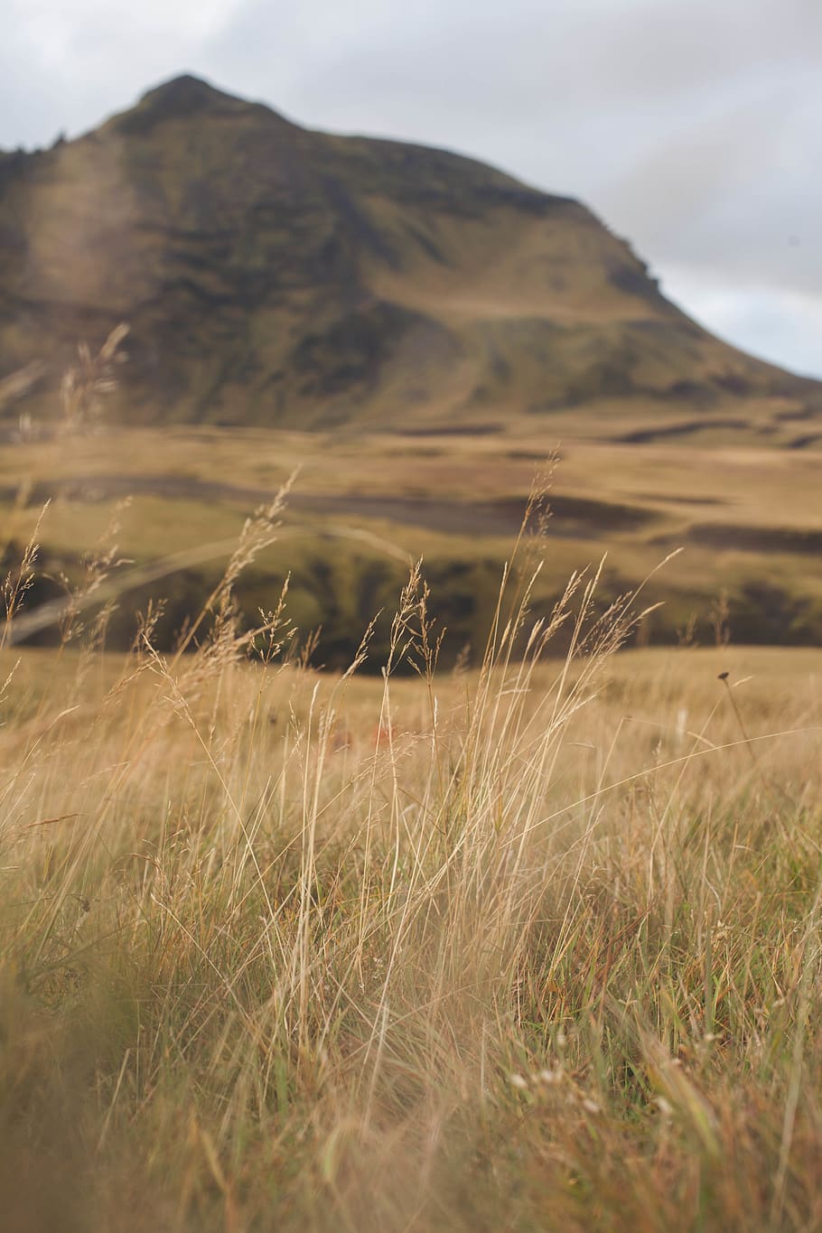 iceland, skógafoss, grass, vast, europe, plains, nature, valley, HD wallpaper