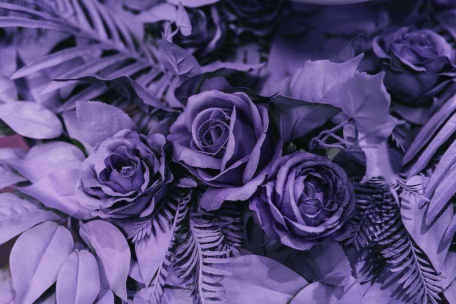 HD wallpaper: Pantone Colour Of The Year 2018: Ultra Violet, purple, colors  | Wallpaper Flare