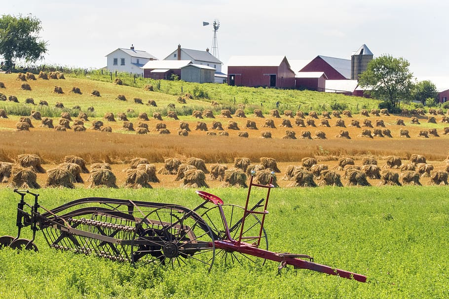 red garden plough, plant, land, grass, field, architecture, building exterior HD wallpaper