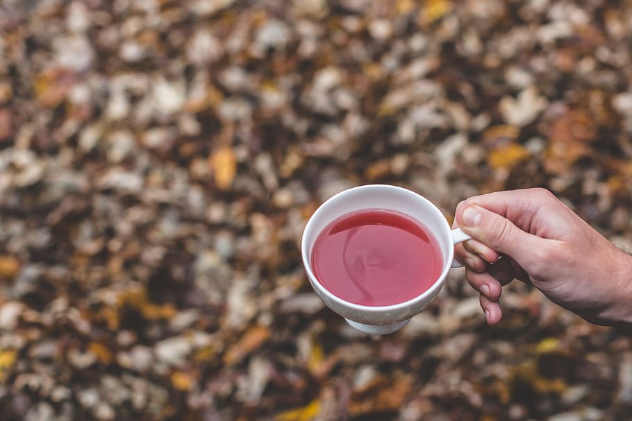 Selective Focus of Person Holding White Teacup, caffeine, drink HD wallpaper