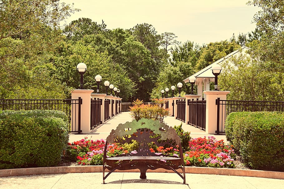 gardens, bench, plant, tree, nature, growth, flower, flowering plant HD wallpaper