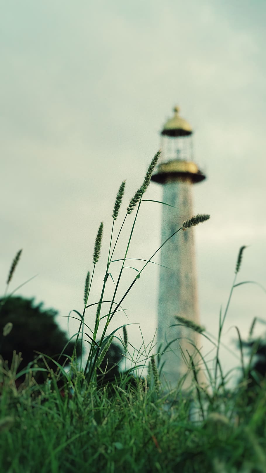 low angle photography og gray light tower, grass, flora, plant HD wallpaper