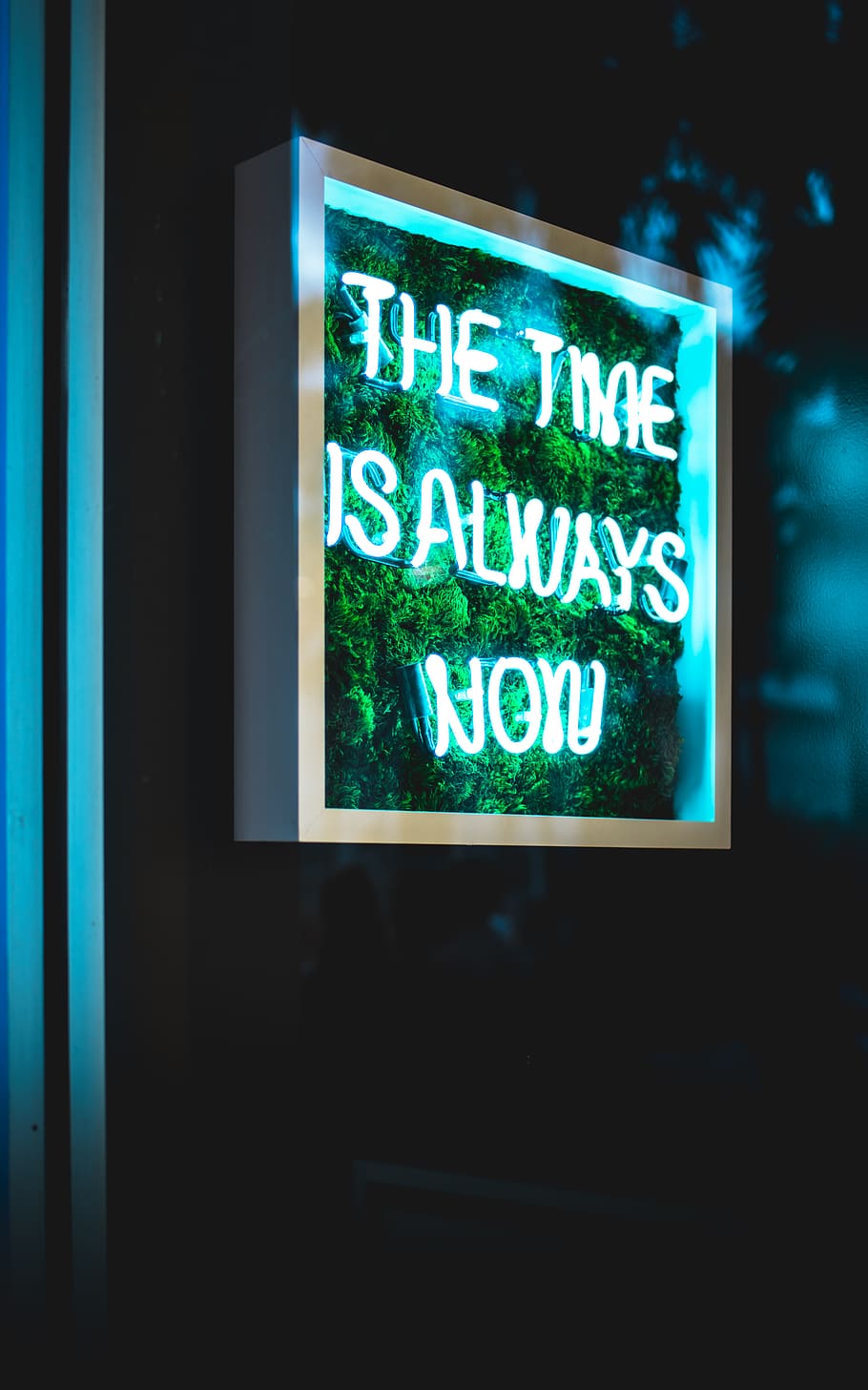 the time is always now neon light signage, text, communication