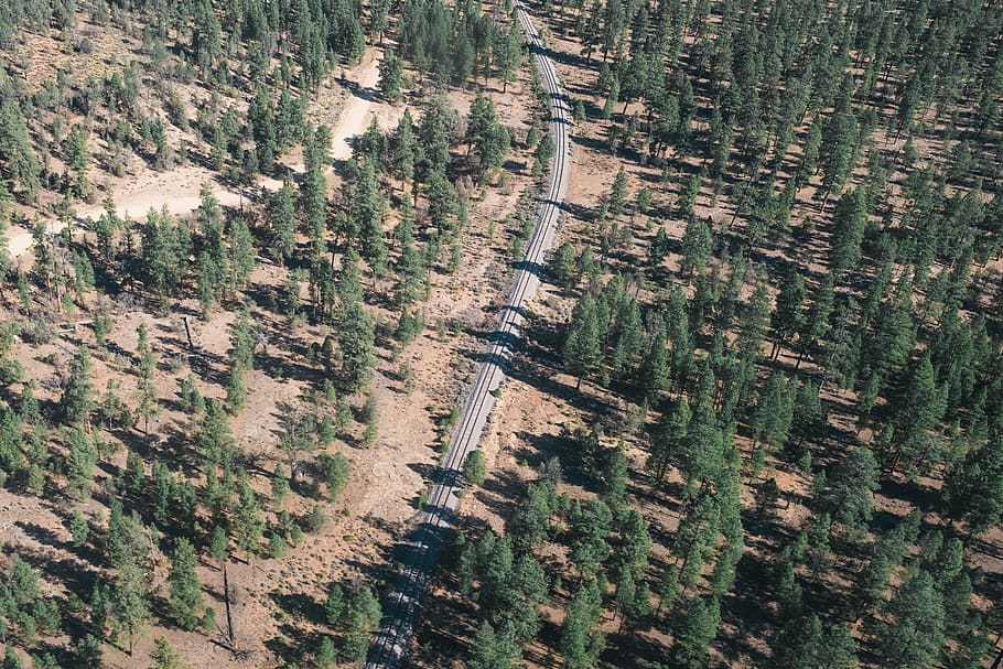 train, trees, train track, landscape, environment, high angle view HD wallpaper