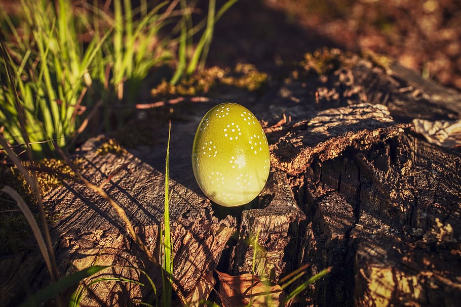 easter egg, colored, spring, easter theme, food, greeting card HD wallpaper