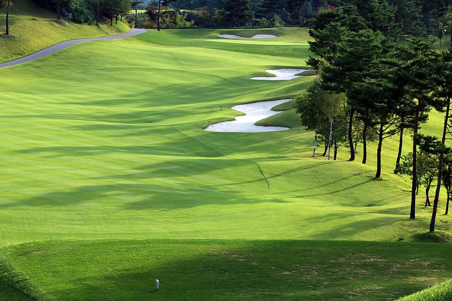 golf, green, field, grass, sport, golfers, golf course, landscape