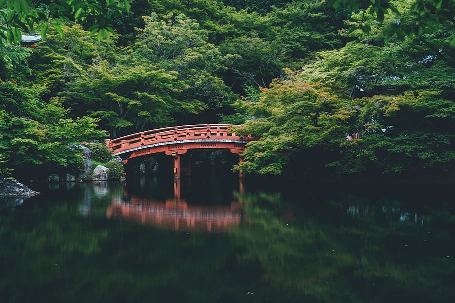 red bridge near trees, plant, built structure, reflection, architecture HD wallpaper