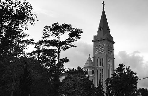 vietnam, dalat, tree, built structure, architecture, plant HD wallpaper