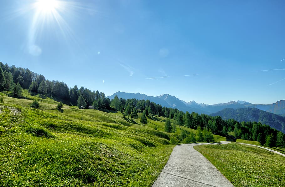 summer, sun, sky, nature, landscape, trees, path, trail, hiking HD wallpaper