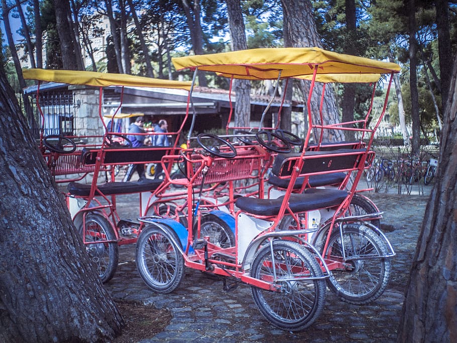 bicycle, transport, city, park, zaragoza, old, vintage, enjoy