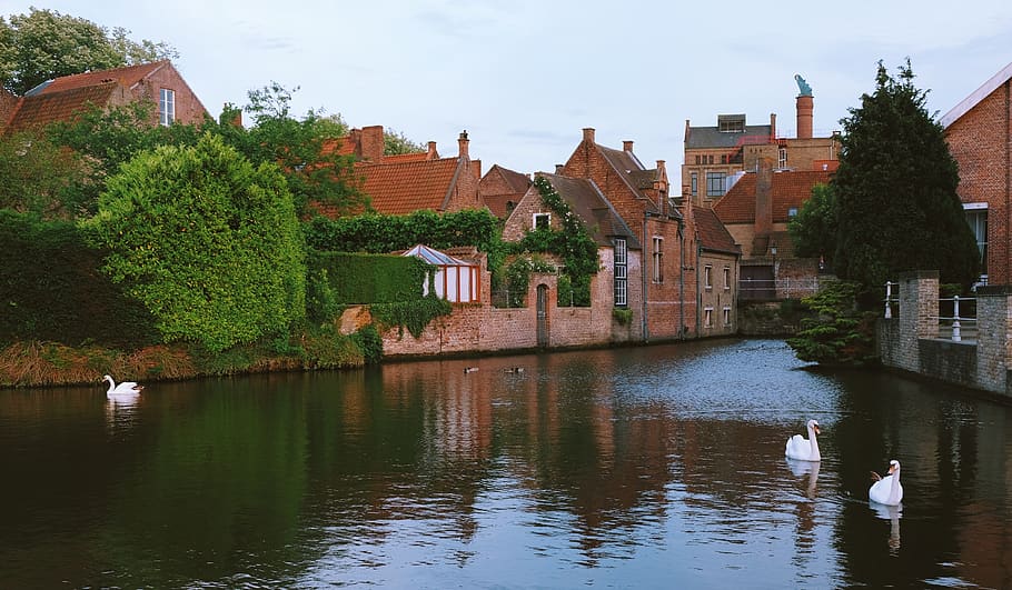 lake, bruge, water, building exterior, architecture, built structure HD wallpaper
