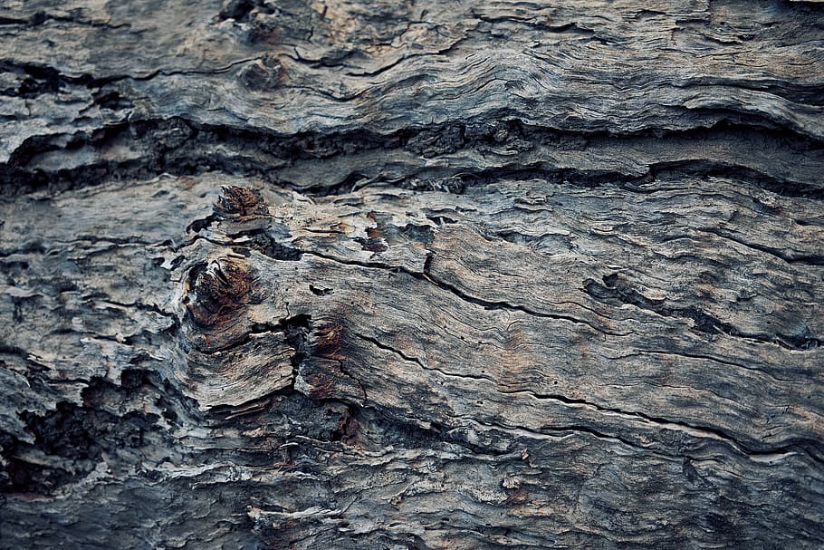 brown wooden surface, backgrounds, textured, full frame, pattern HD wallpaper