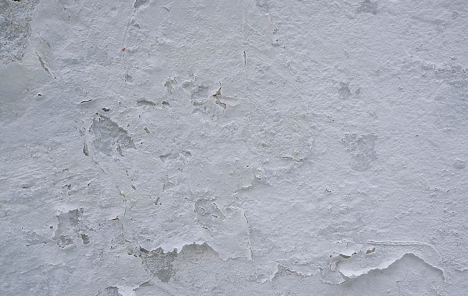 slate, concrete, texture, wall, animal, bird, limestone, paper HD wallpaper