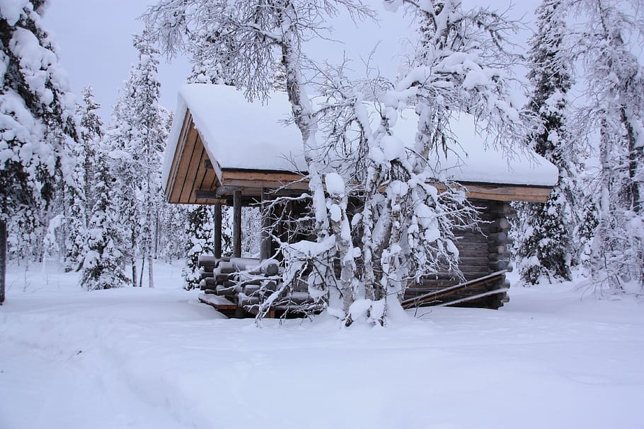 chalet, snow, lapland, cold temperature, winter, architecture HD wallpaper