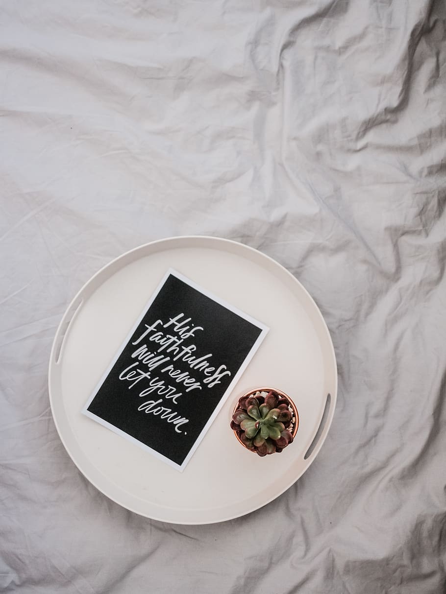 empty round white plate on white textile, directly above, indoors HD wallpaper