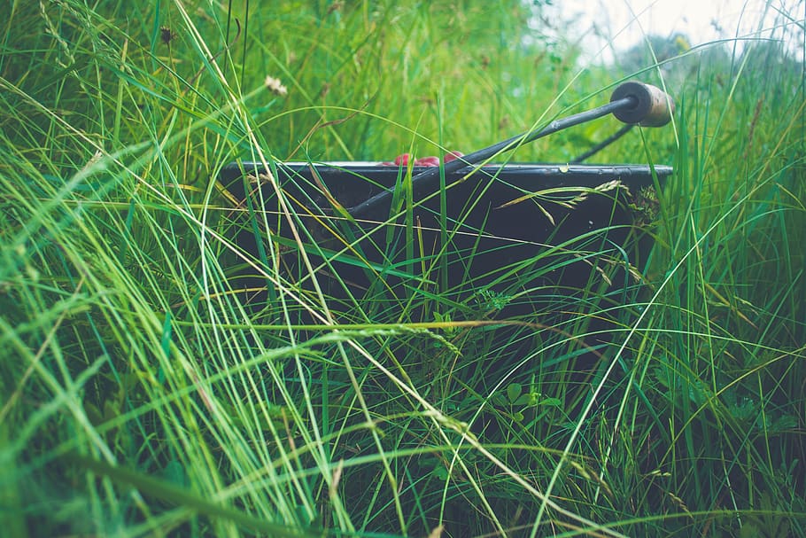 summer, bucket, cherry, cherries, grass, green, orange, red HD wallpaper