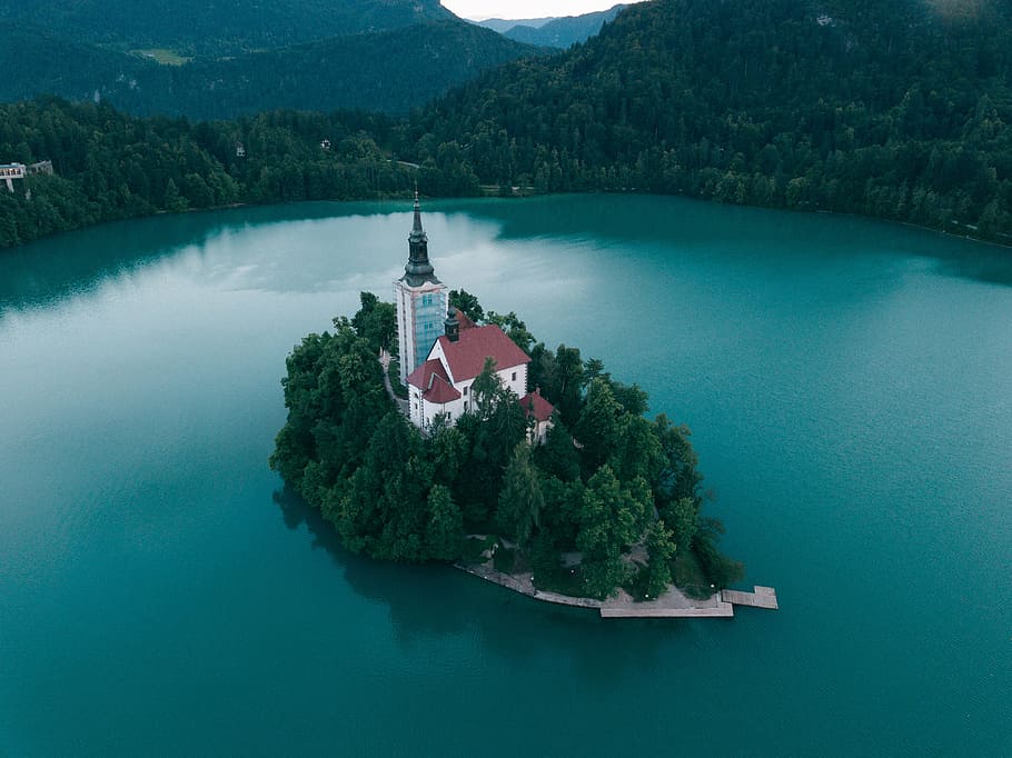 aerial view photography of cathedral, island, lake, forest, tree