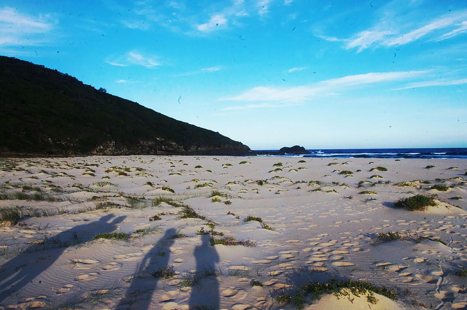 australia, black head, sand, beach, water, sky, beauty in nature HD wallpaper
