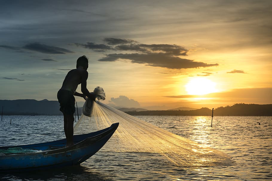 Man Pulling Fish Net Out Of The Water, backlit, boat, dawn, dusk HD wallpaper