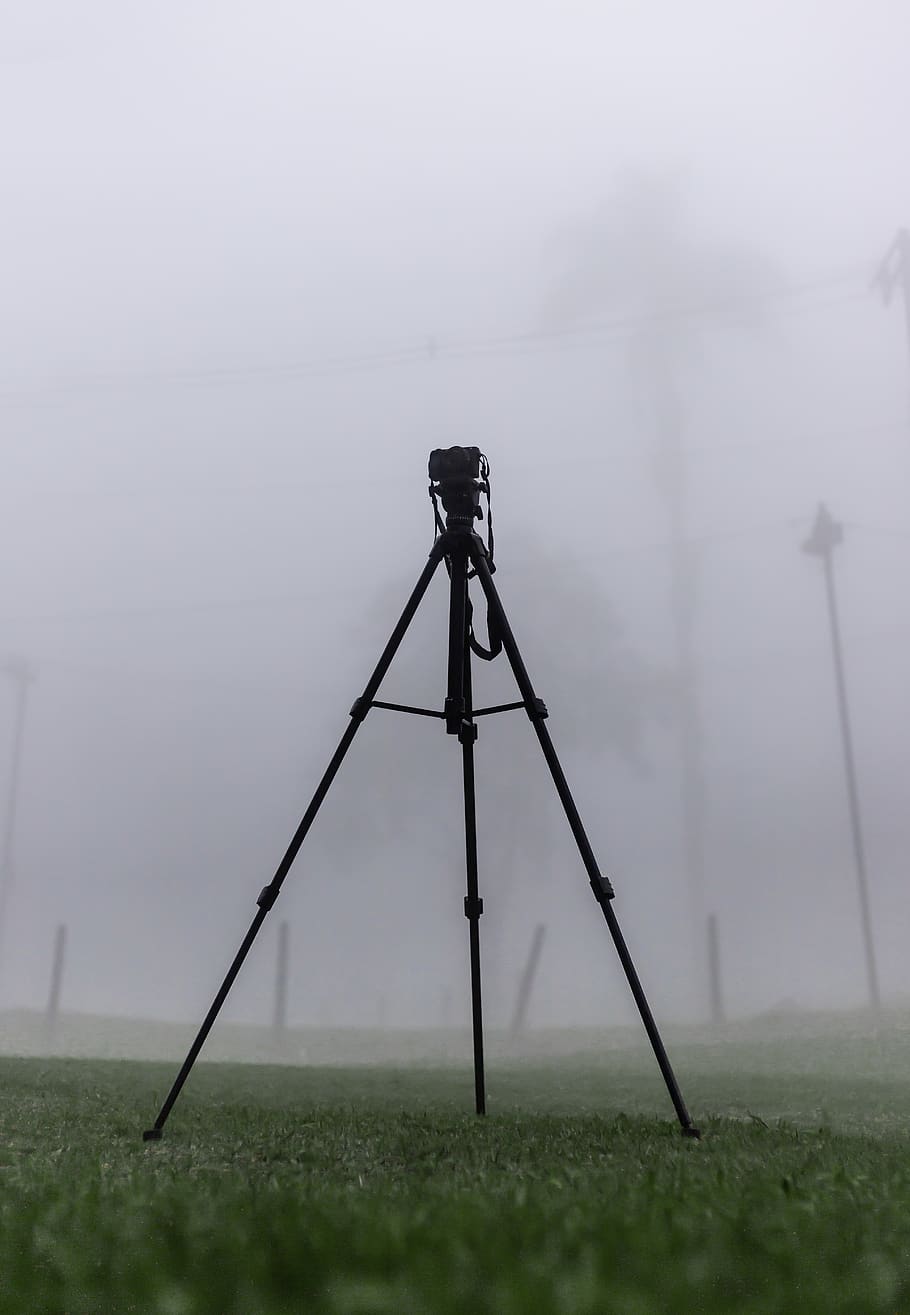 Black Tripod, field, fog, foggy, grass, nature, no people, plant HD wallpaper