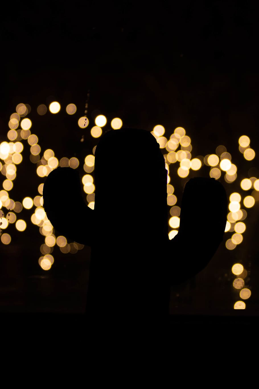 light+, cactus, bokeh, wallpaper, hd, full hd, wallpaper hd HD wallpaper