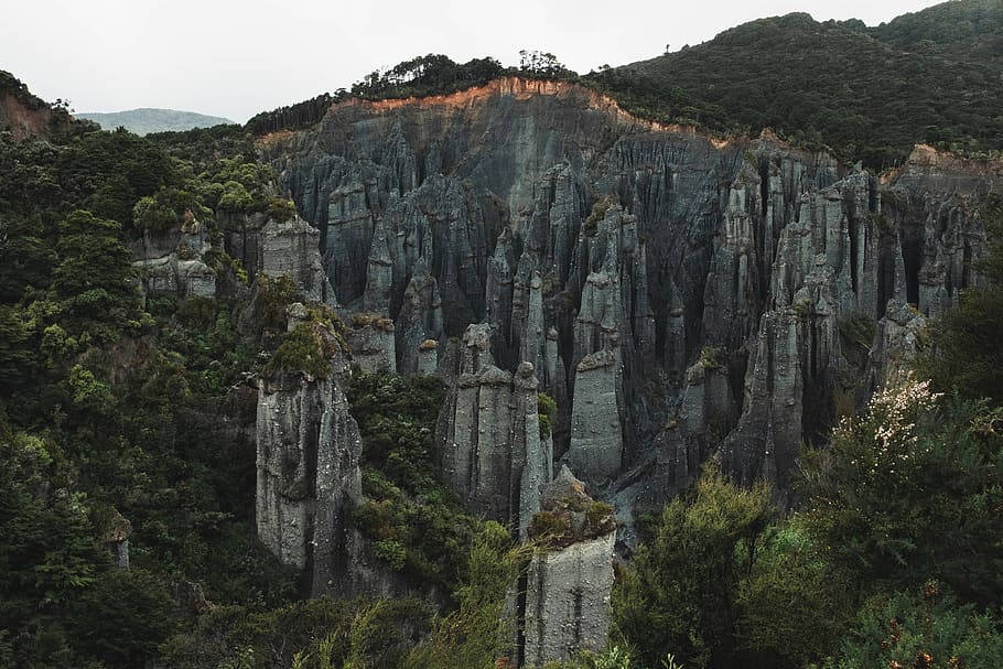 rock formation between forest during daytime, mountain, tranquil scene HD wallpaper
