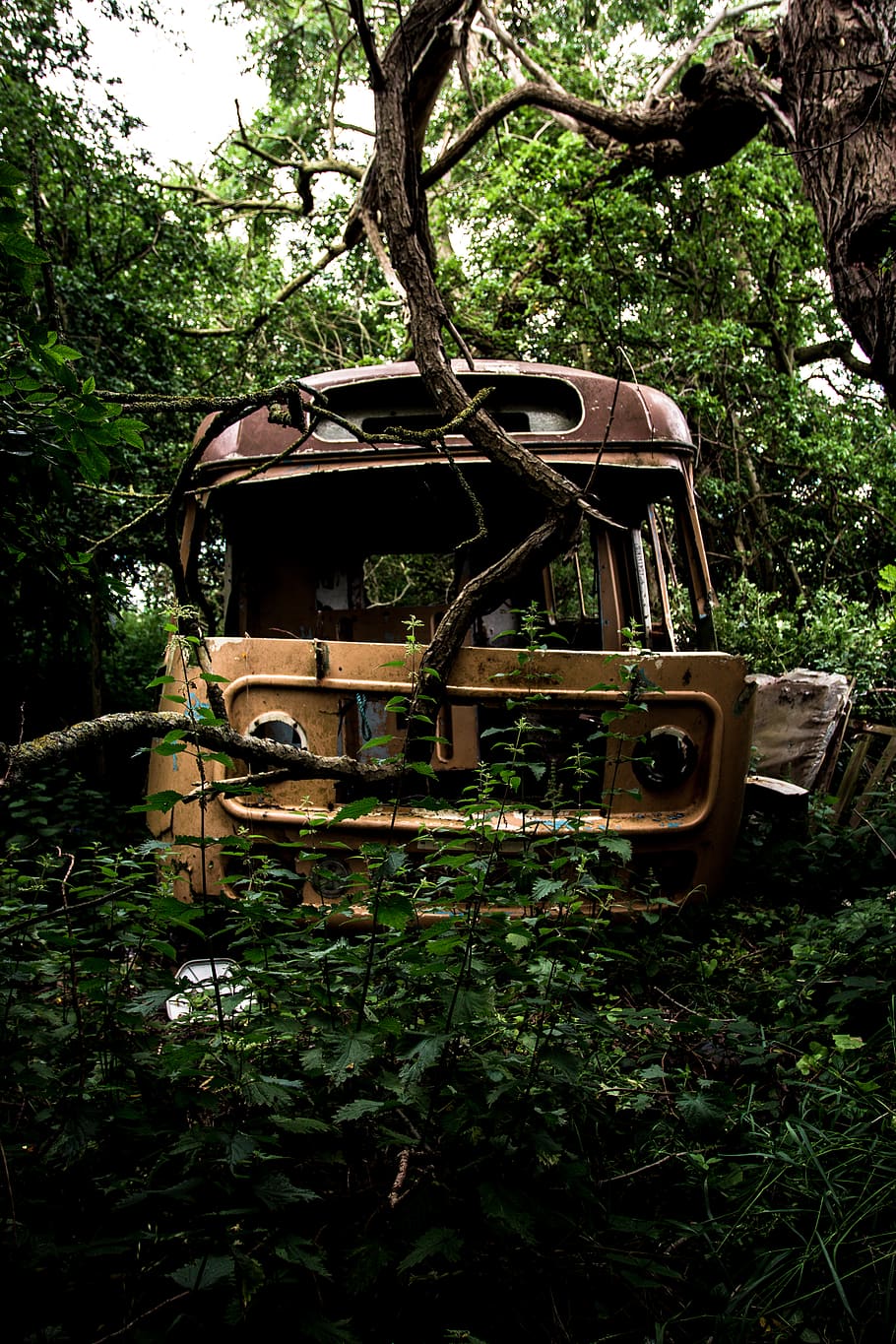 trees, forest, car, van, camper van, overgrown, rusty, old, HD wallpaper