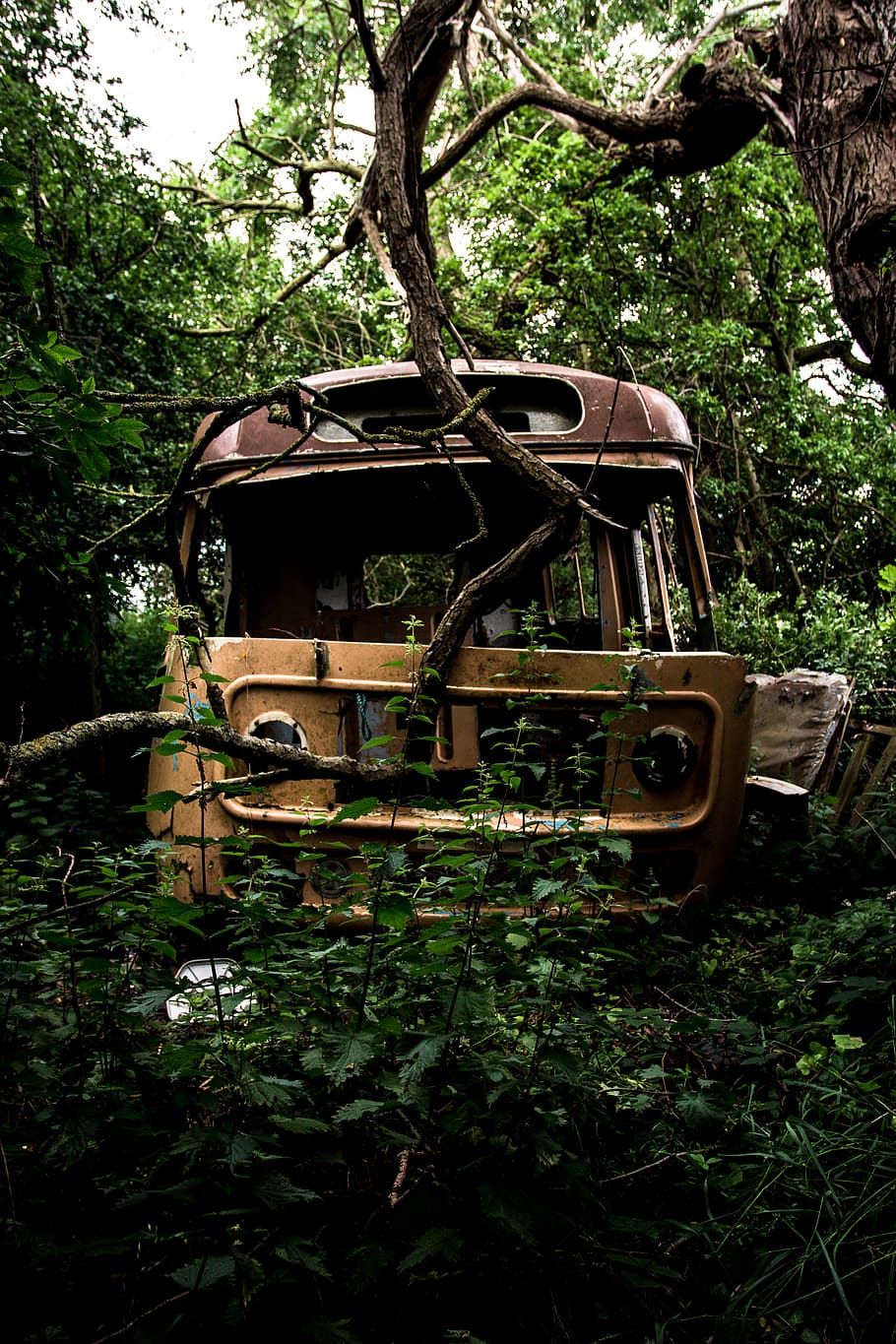 trees, forest, car, van, camper van, overgrown, rusty, old HD wallpaper