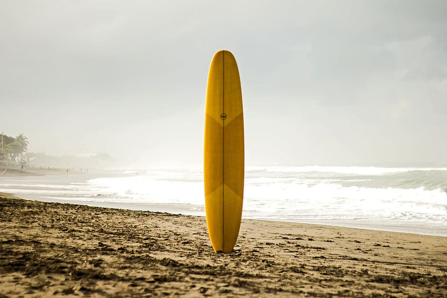 brown surfboard standing on sea shore, morning, surf board, misty