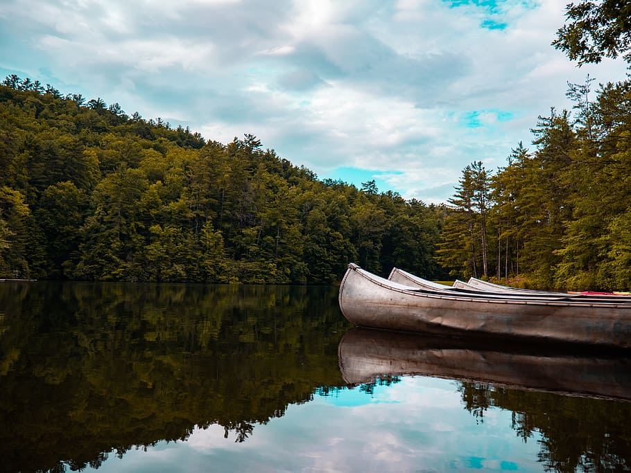 white canoe on river surrounded by trees, lake, forest, cloudy HD wallpaper