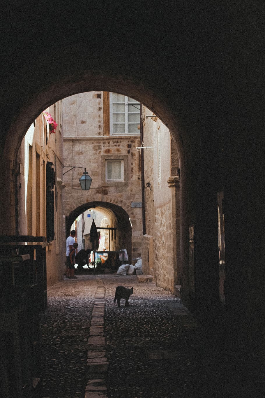 Cat Near Wall, alley, ancient, arch, architecture, building, croatia, HD wallpaper