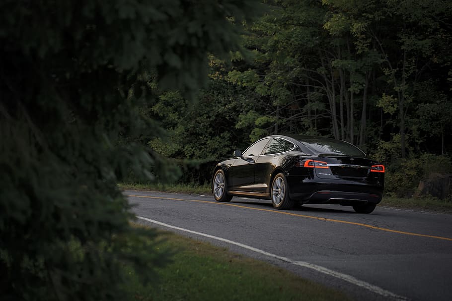 car on road, forest, tesla, woodland, outdoor, roadtrip, tree HD wallpaper