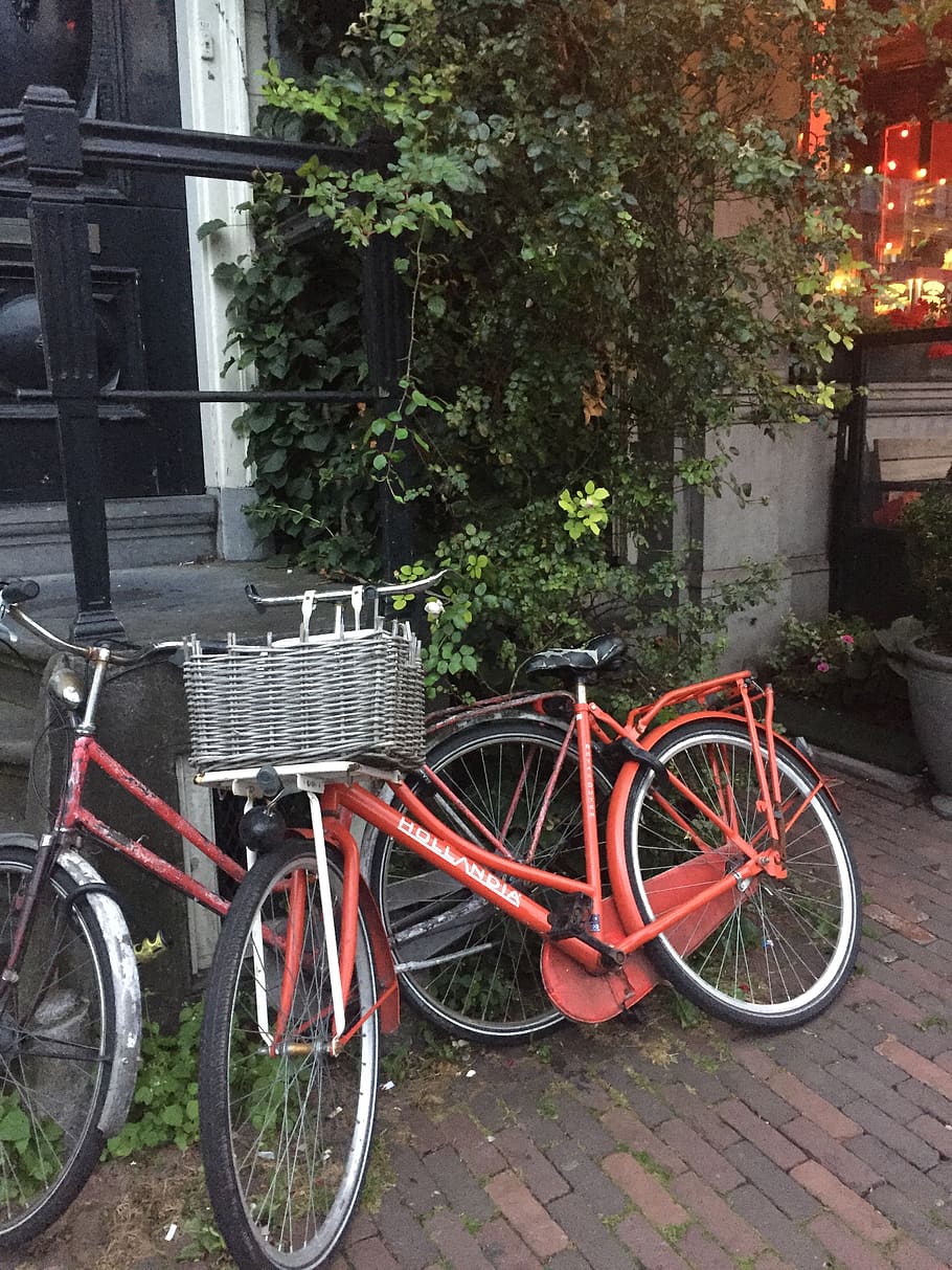 netherlands, amsterdam, transportation, bicycle, mode of transportation HD wallpaper
