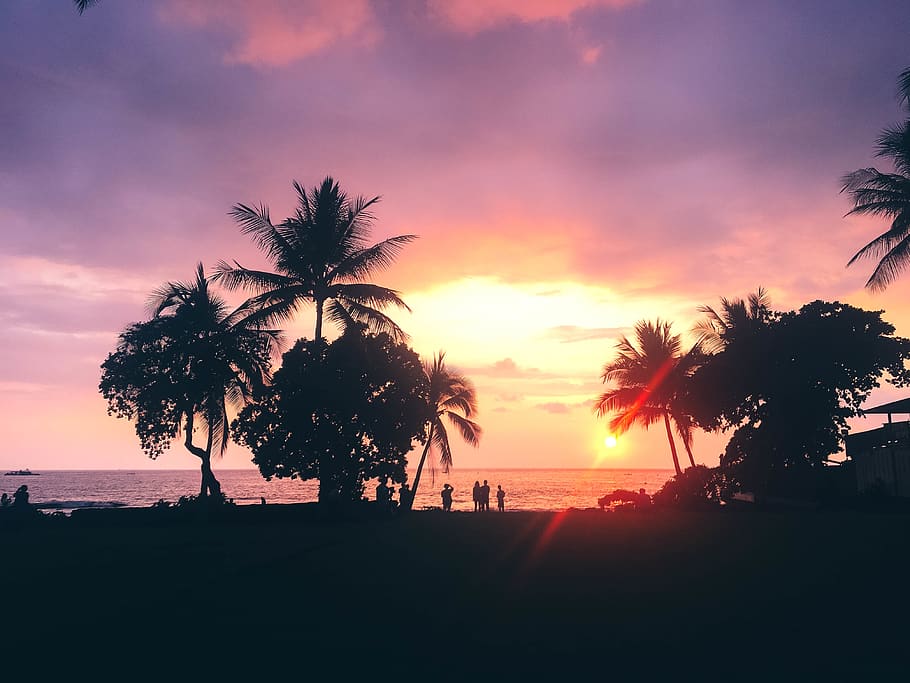 united states, kailua-kona, sunset, palm trees, beautiful, hawaii, HD wallpaper