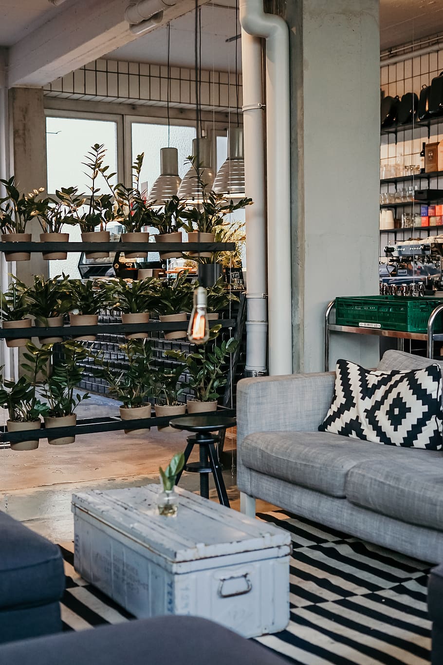 gray steel coffee table, indoors, plant, furniture, architecture HD wallpaper