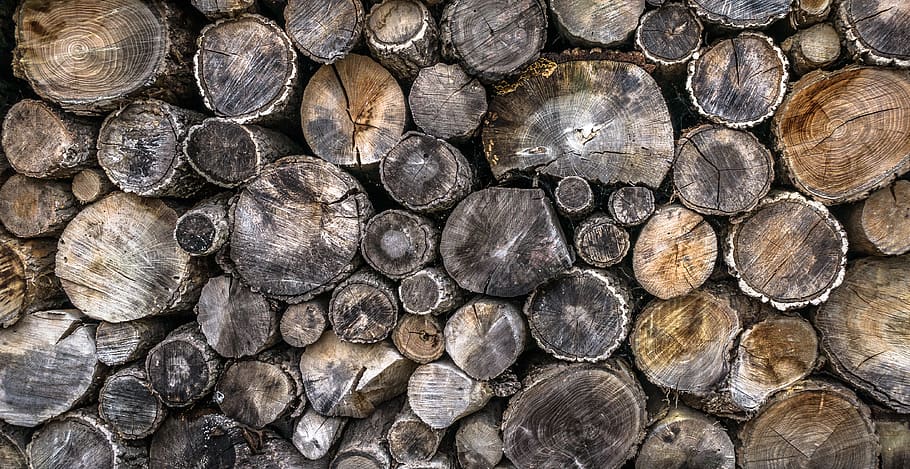 Gray and Brown Tree Trunks, background, close-up, curve, cut HD wallpaper