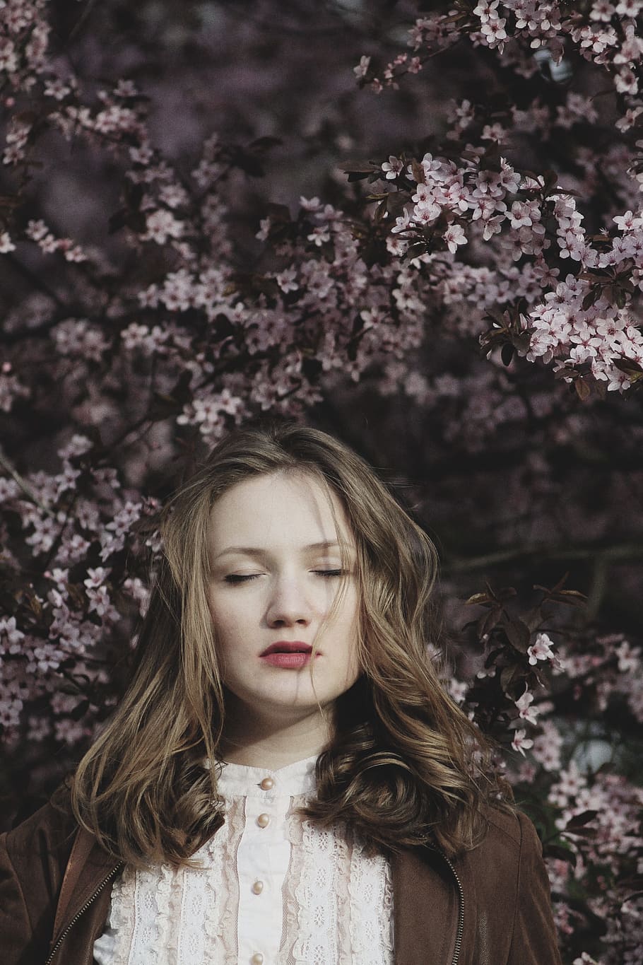 beauty, white, flower, tree, pink, girl, woman, model, plant HD wallpaper